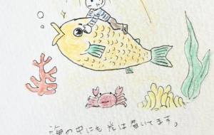 海の中にも光は届いています - 水谷裕子 