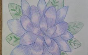 ガラス細工の花 - ふか 
