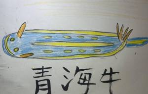 笑うアオウミウシ - 海牛ひろんぱ 