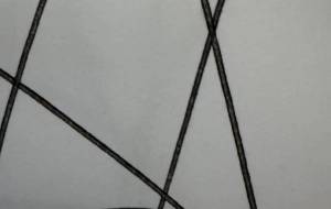 画像 - 笹谷正博 