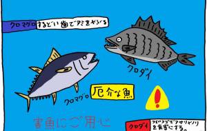 害魚にはご用心 - 工房はんど　yu-ma 
