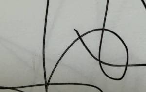 画像 - 笹谷正博 