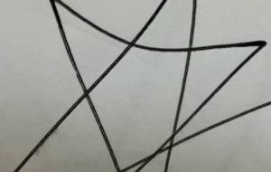 画像 - 笹谷正博 