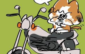 BIKE - 空叶論 