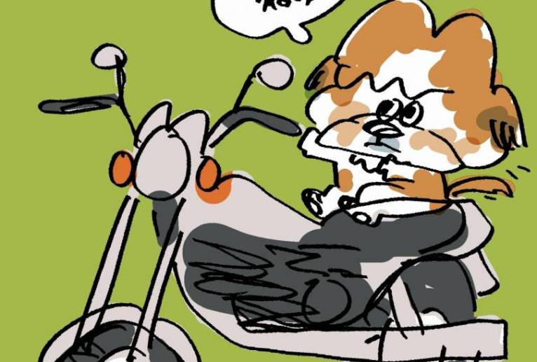 BIKE - 空叶論 