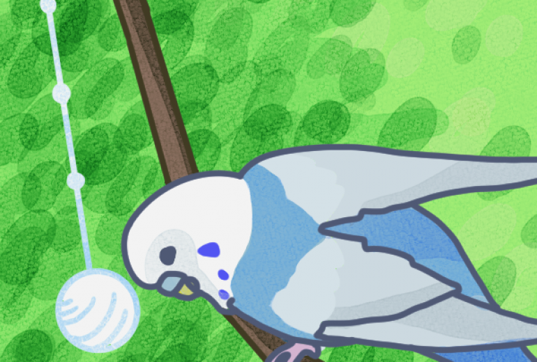 クリスタルで遊ぶのが好きなインコ