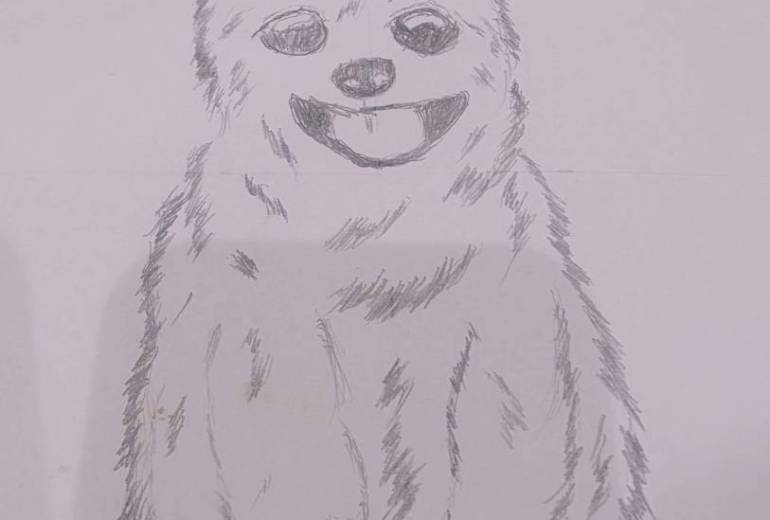 ポメラニアンのチビ