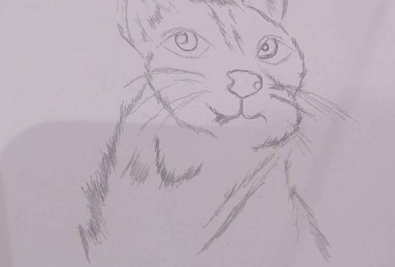 ほし