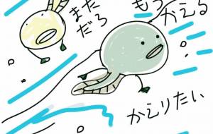 もうかえる - 香織 