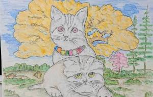 ねこ - 国光