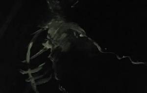 俺は嵐サイコティクアートの魔物絶苦残癖 - 真鍋哲地 