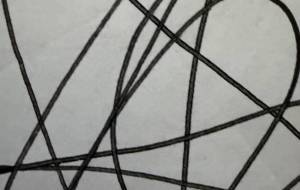 画像 - 笹谷正博 
