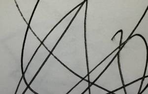 画像 - 笹谷正博 
