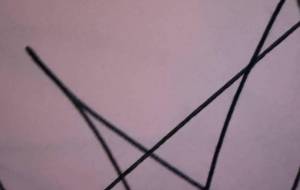 画像 - 笹谷正博 