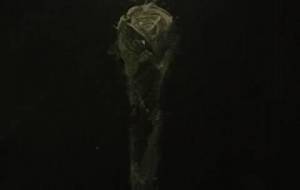 猟奇的アート作品認遺羅(悲しみ） - 真鍋哲地 