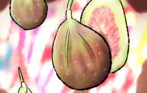 旬のおいしい無花果 - うお丸 