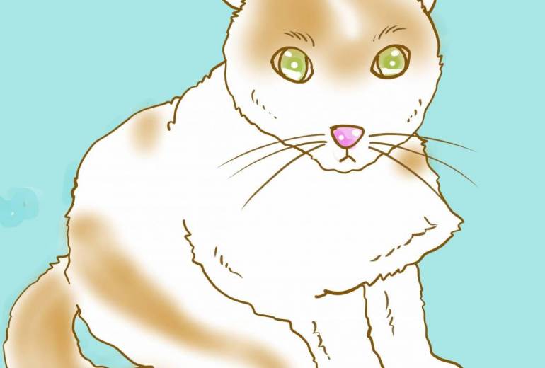 おすわり、ちびちゃん