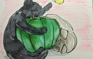 猫とカボチャ - CAT 