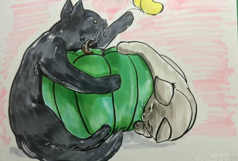 猫とカボチャ