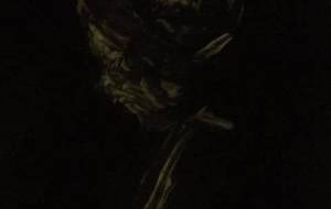 認知症脳髄華死乱暴！（母さん我は餓死でししてぬ求めるぬ我死死ても） - 真鍋哲地 