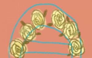 薔薇のトンネル - ワタリドリ 