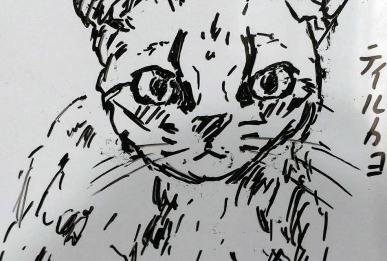 新種のネコ　ティルカヨ