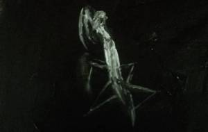 死んだカマキリ見て、父ちゃん死んでしもうた！！！！！！、母ちゃん認知症なってしもうて！なんでかぢっや - 真鍋哲地 