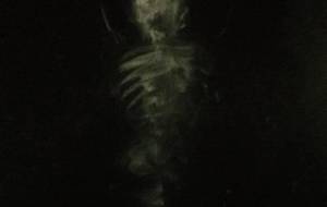 猟奇的アート終整津どんなに愛しくてどんなに抱きしめも（施設で人生の終） - 真鍋哲地 