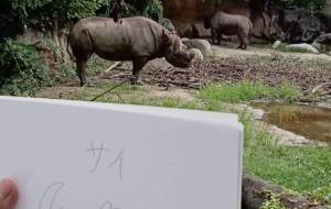 動物園 - ブレーメン 