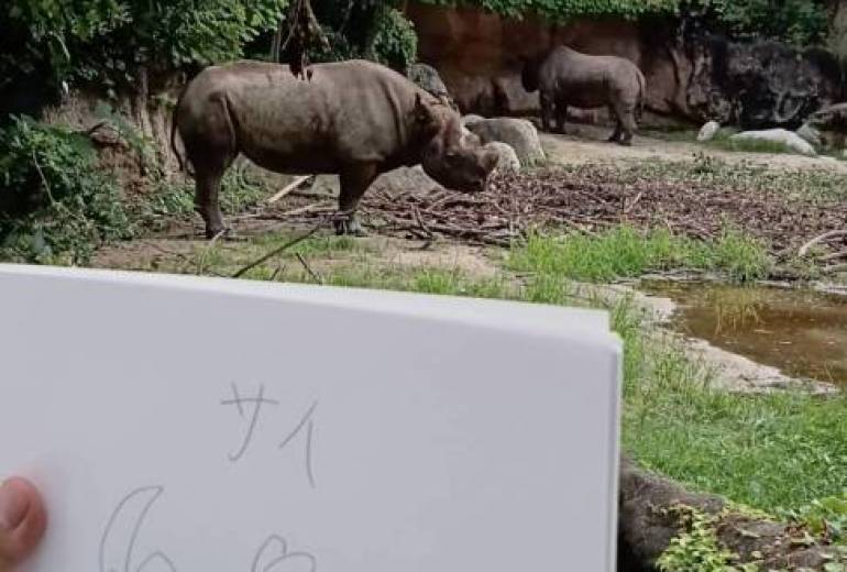 動物園