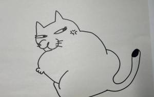 ねこ - 香織 