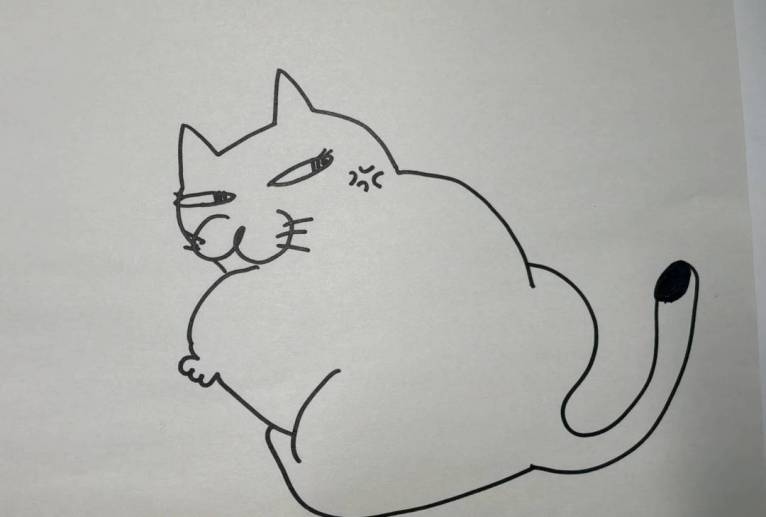 ねこ - 香織 