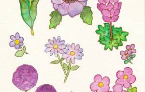 むらさきの花々 - 風船マナミ 