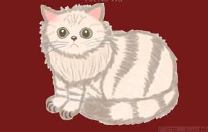 試作　ねこのミミちゃんは、決して不機嫌では無い。 - ちろ 