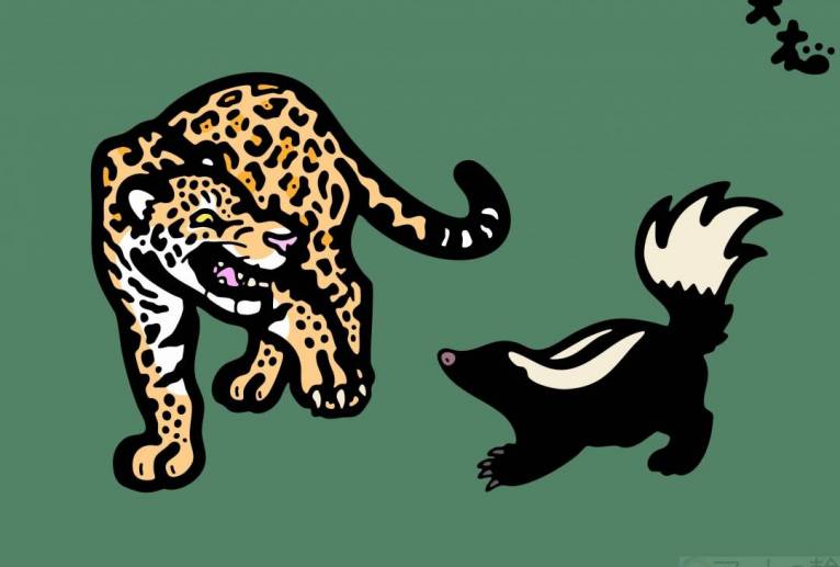 ジャガー対アマゾンスカンク - シマハイエナ 