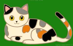 三毛猫のミケ。 - ちろ 