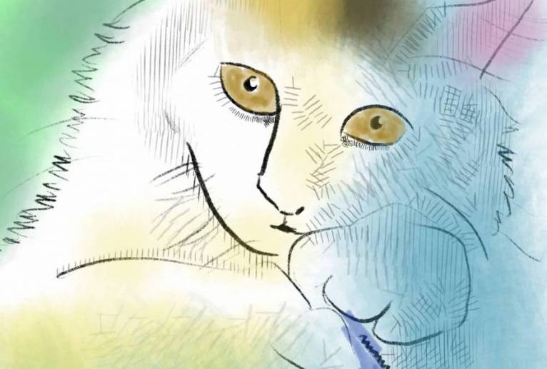 猫 - 京扇 
