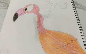 フラミンゴ色付け - ブレーメン 